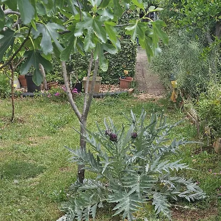 דירה Amalia