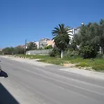 Amalia Zadar