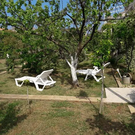 Amalia Ζαντάρ