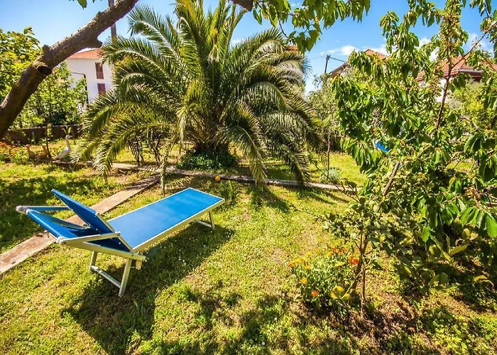 Amalia アパート *